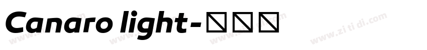 Canaro light字体转换